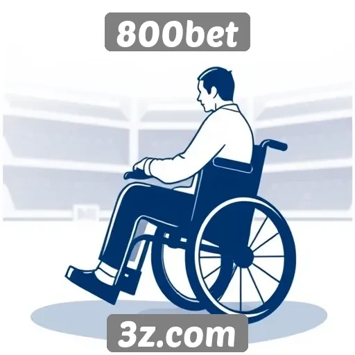 Acessibilidade do site 800bet para usuários