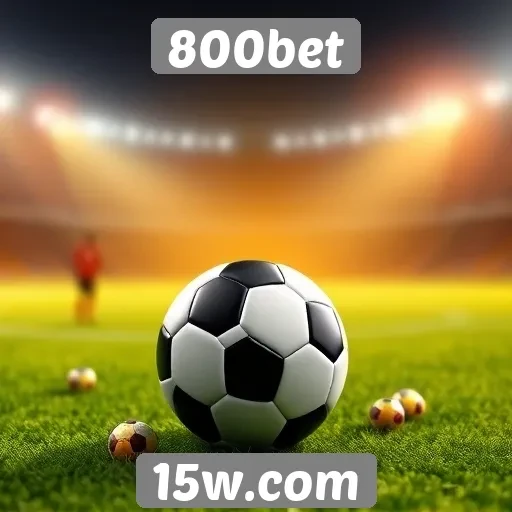 Novos recursos de apostas no 800bet